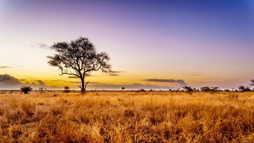 El cambio climático afectará más a África: cómo pueden ayudar los líderes religiosos