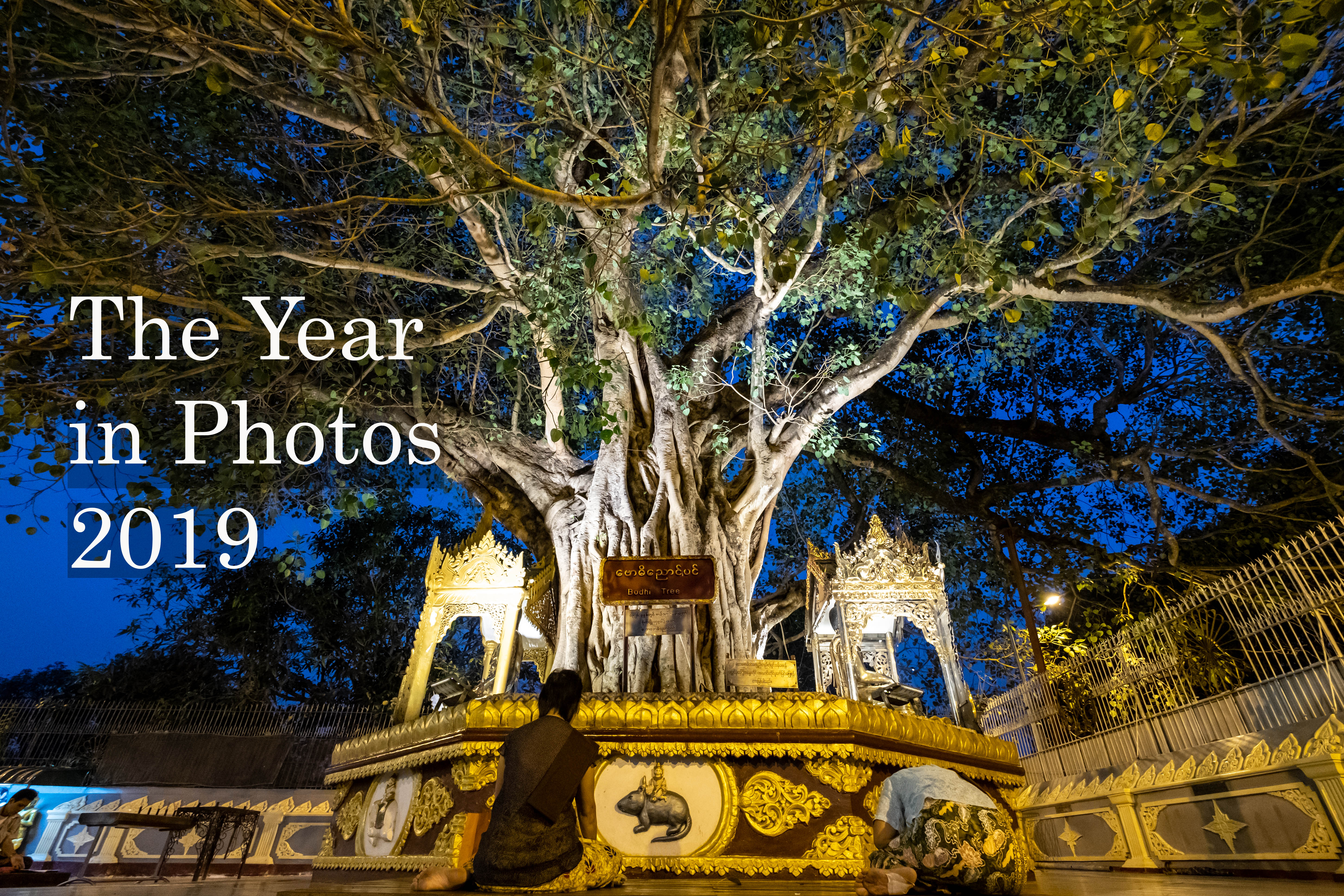 The Year in Photos 2019