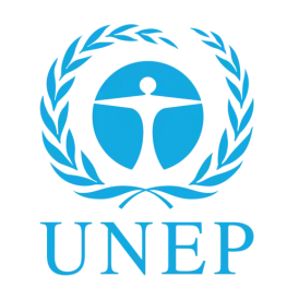 UNDP